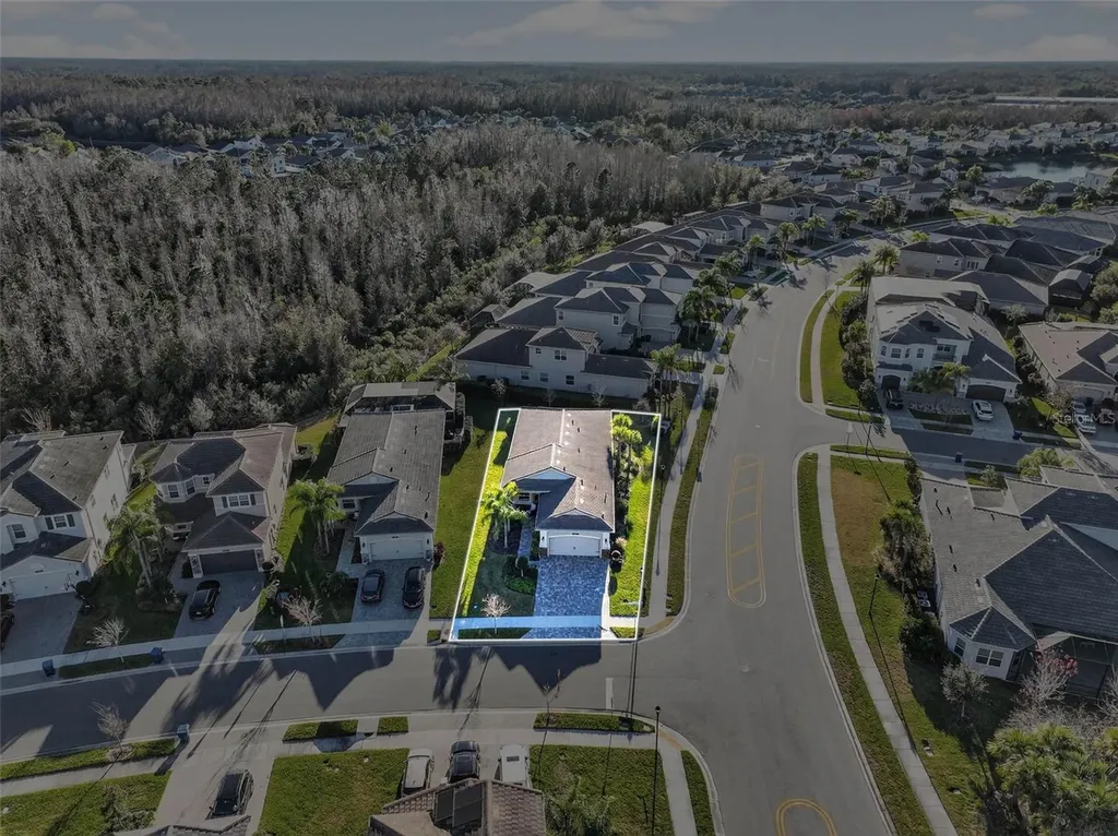 30724 Lindentree Drive Wesley Chapel FL 33543