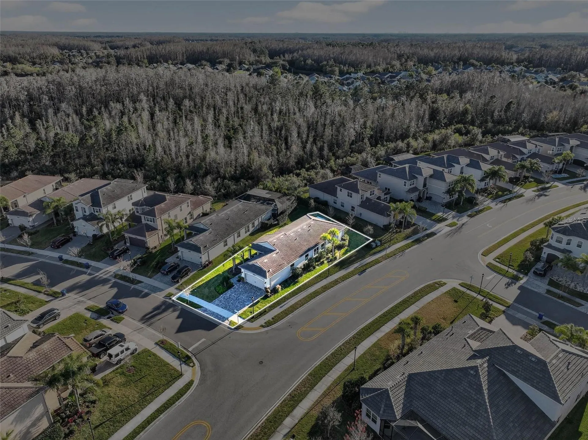 30724 Lindentree Drive Wesley Chapel FL 33543