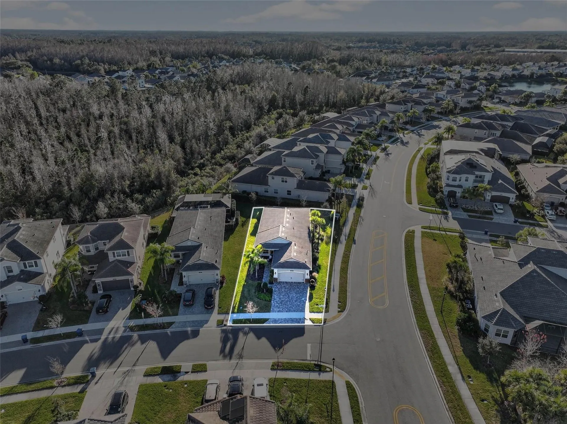 30724 Lindentree Drive Wesley Chapel FL 33543