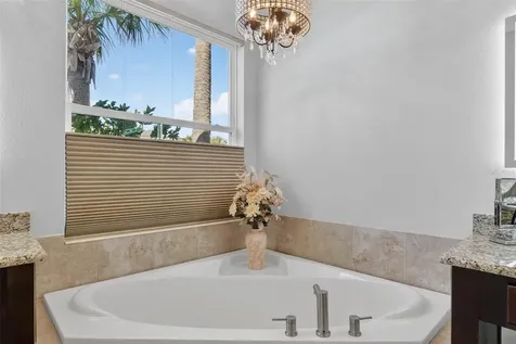30724 Lindentree Drive Wesley Chapel FL 33543