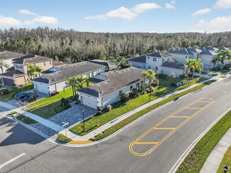 30724 Lindentree Drive Wesley Chapel FL 33543