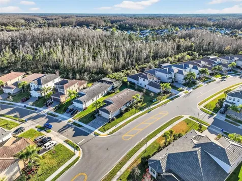 30724 Lindentree Drive Wesley Chapel FL 33543