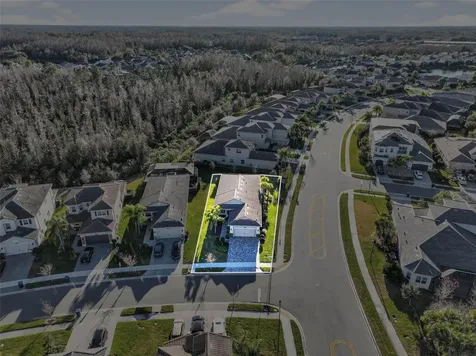 30724 Lindentree Drive Wesley Chapel FL 33543