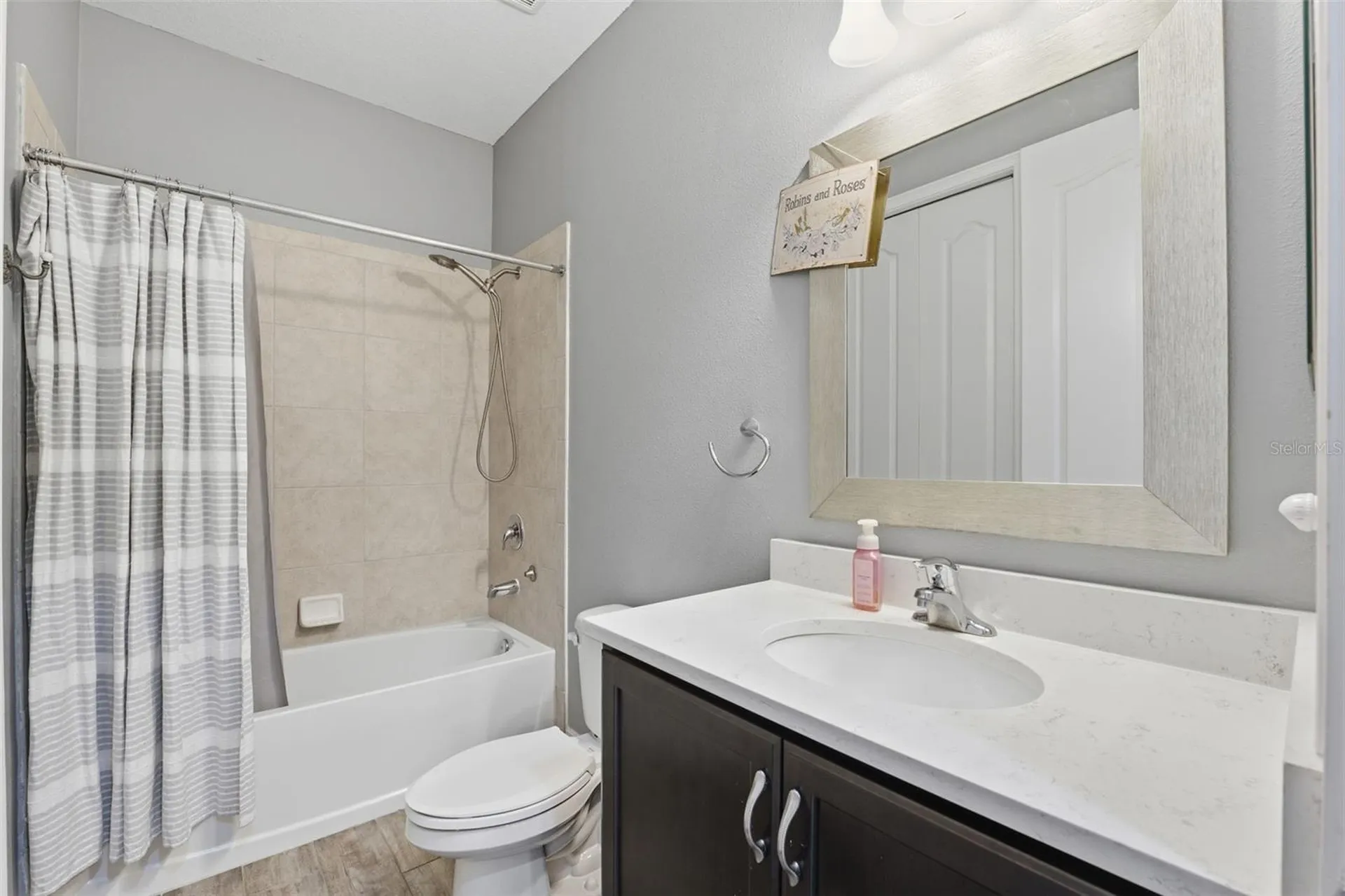 8328 Auburn Rise Court Land O Lakes FL 34638