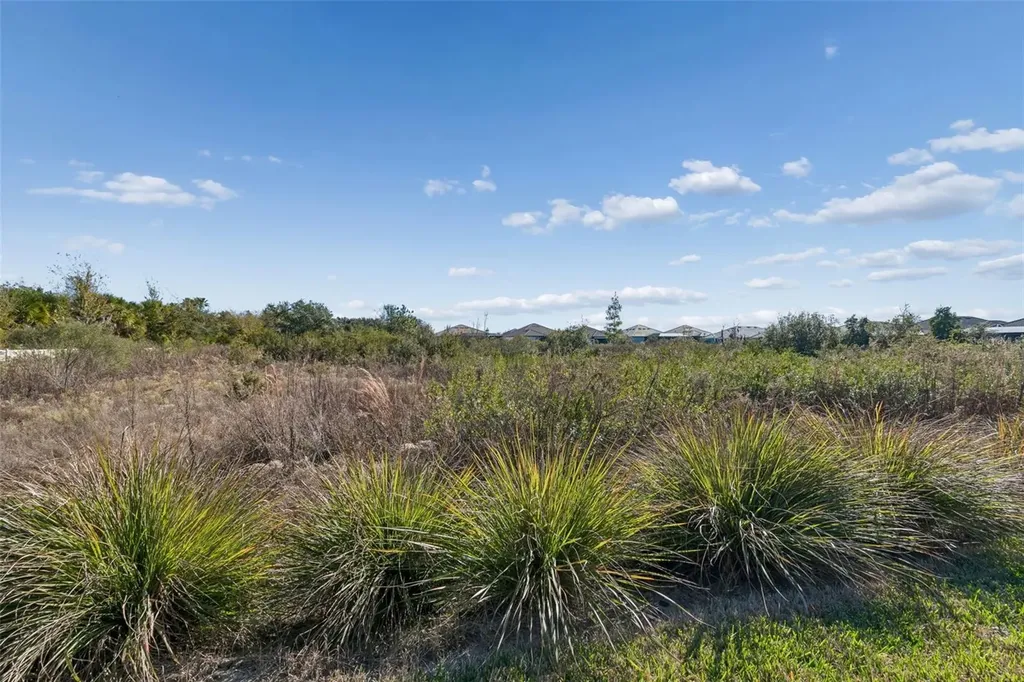 4848 Rosatti Road Wesley Chapel FL 33543