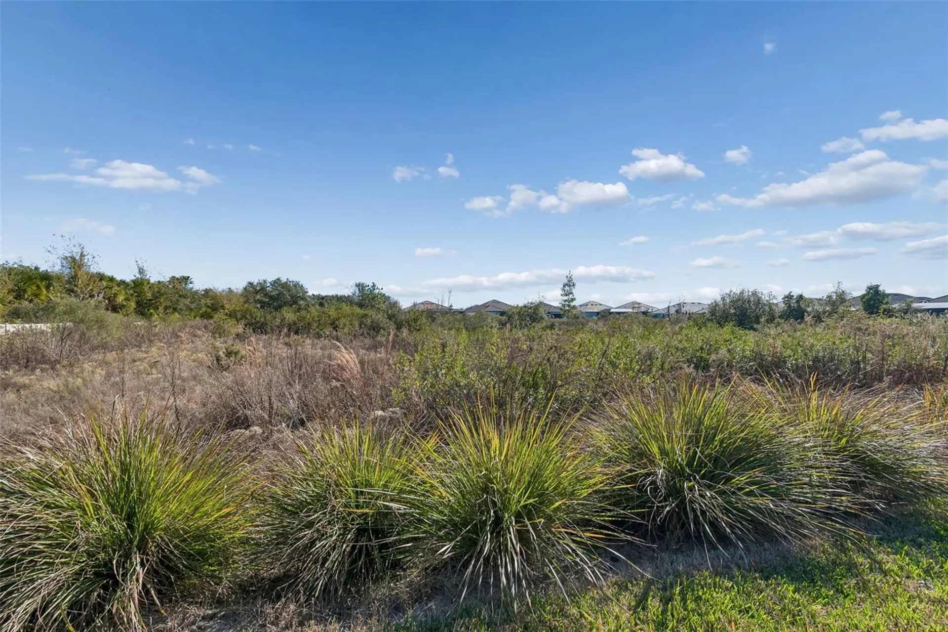 4848 Rosatti Road Wesley Chapel FL 33543
