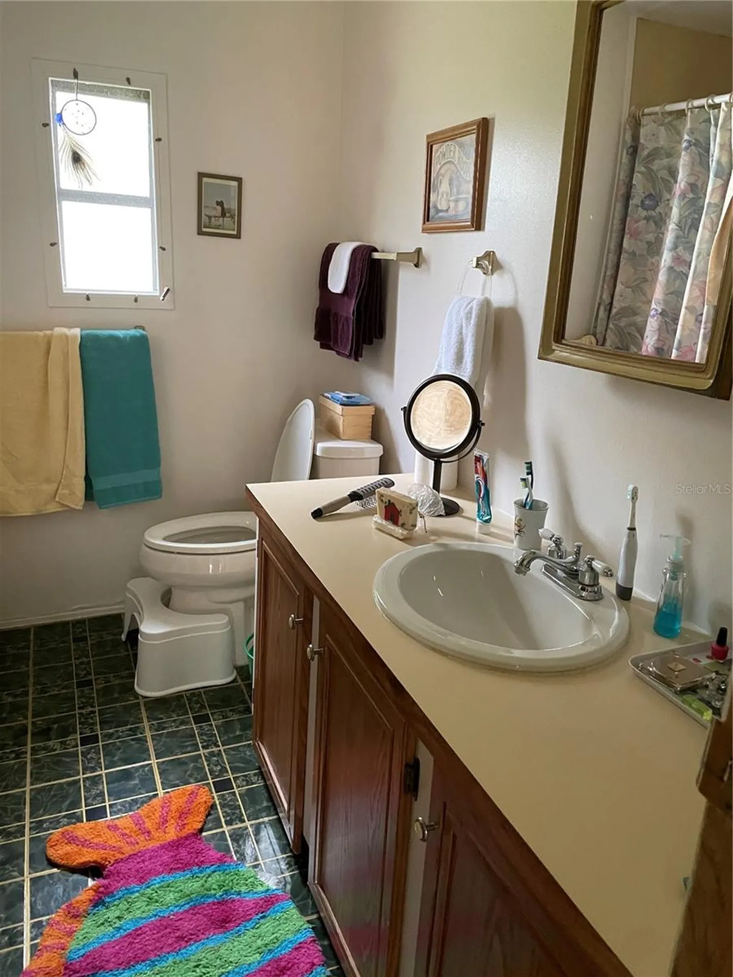 9685 SE 162nd Place Summerfield FL 34491