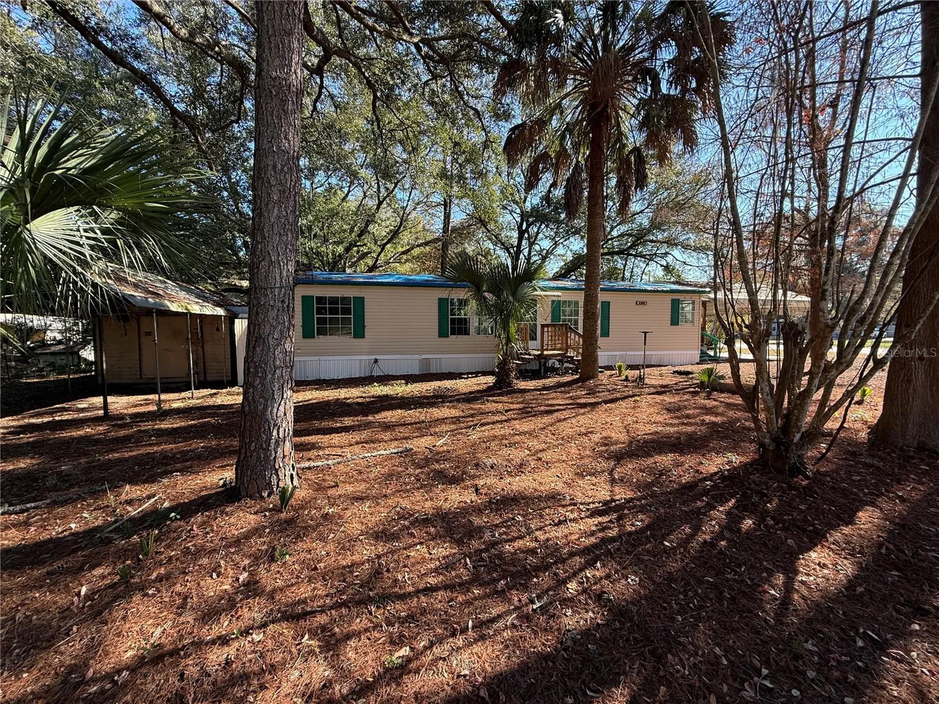 3381 SE 145th Place Summerfield FL 34491