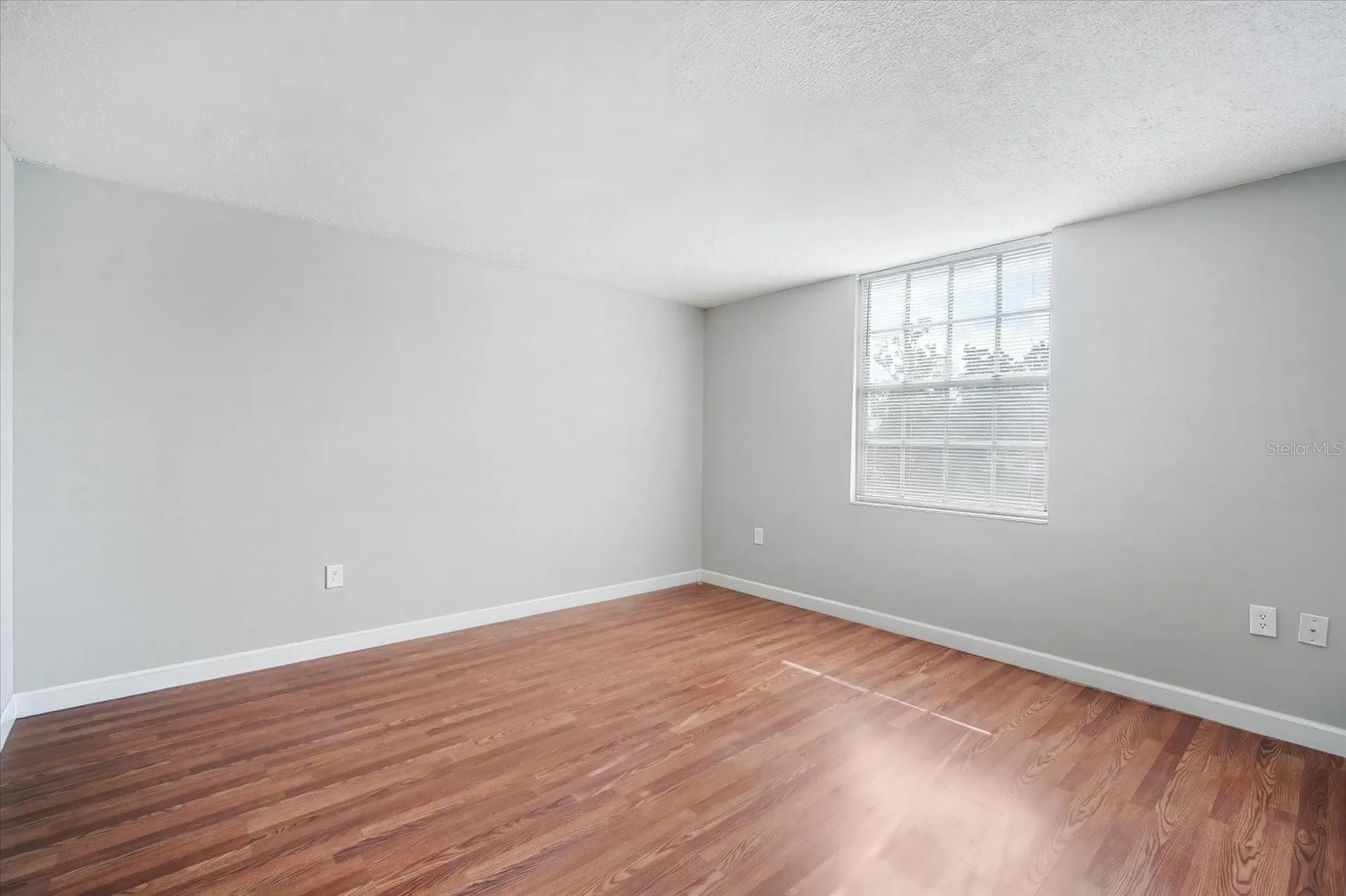 811 Russell Lane Brandon FL 33510