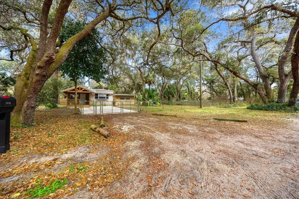 16789 SE 8th Place Silver Springs FL 34488
