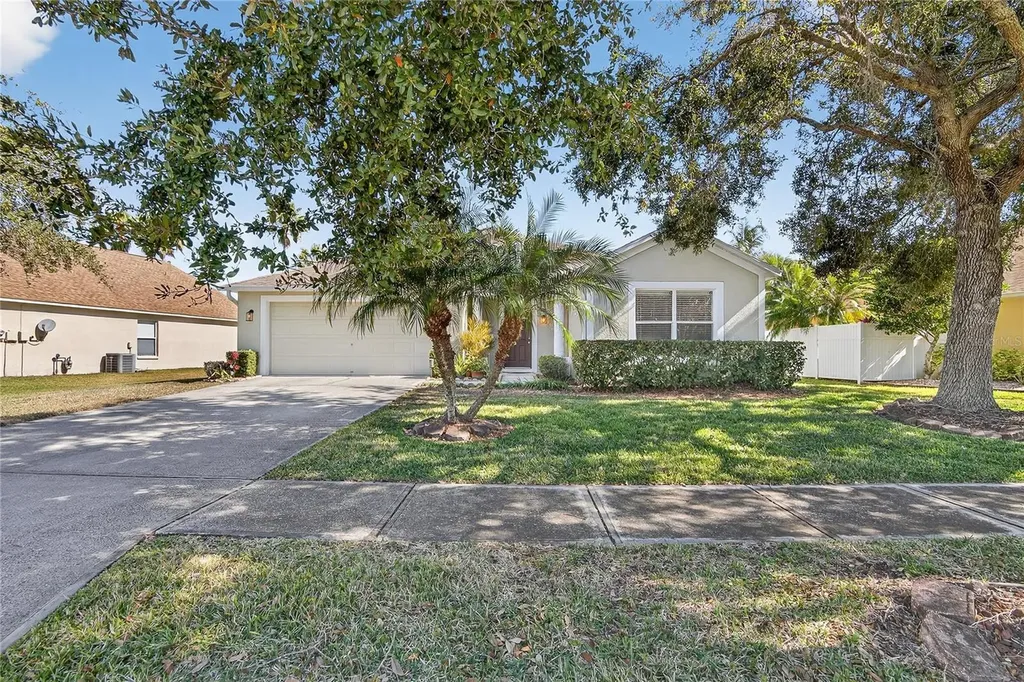 1150 Big Creek Drive Wesley Chapel FL 33544