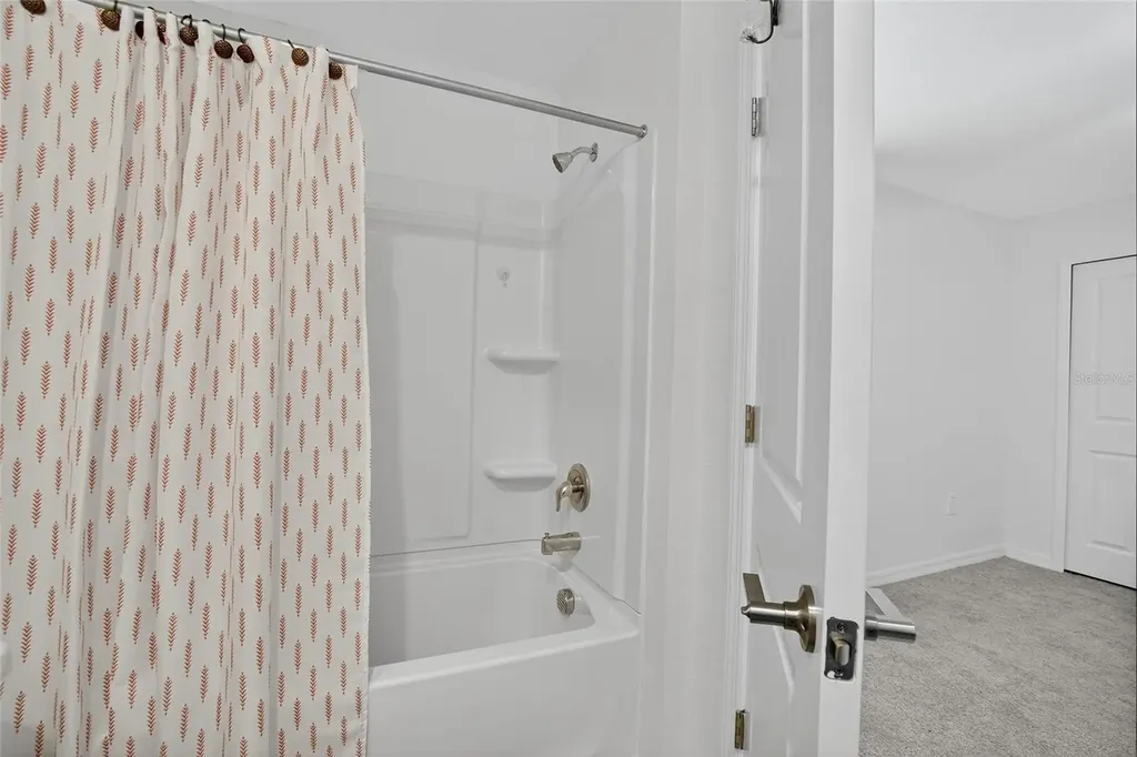 10317 Trumpet Honeysuckle Way San Antonio FL 33576