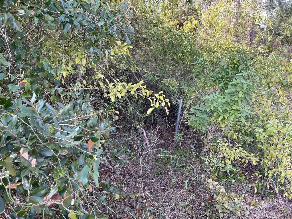 Abate Avenue North Port FL 34288