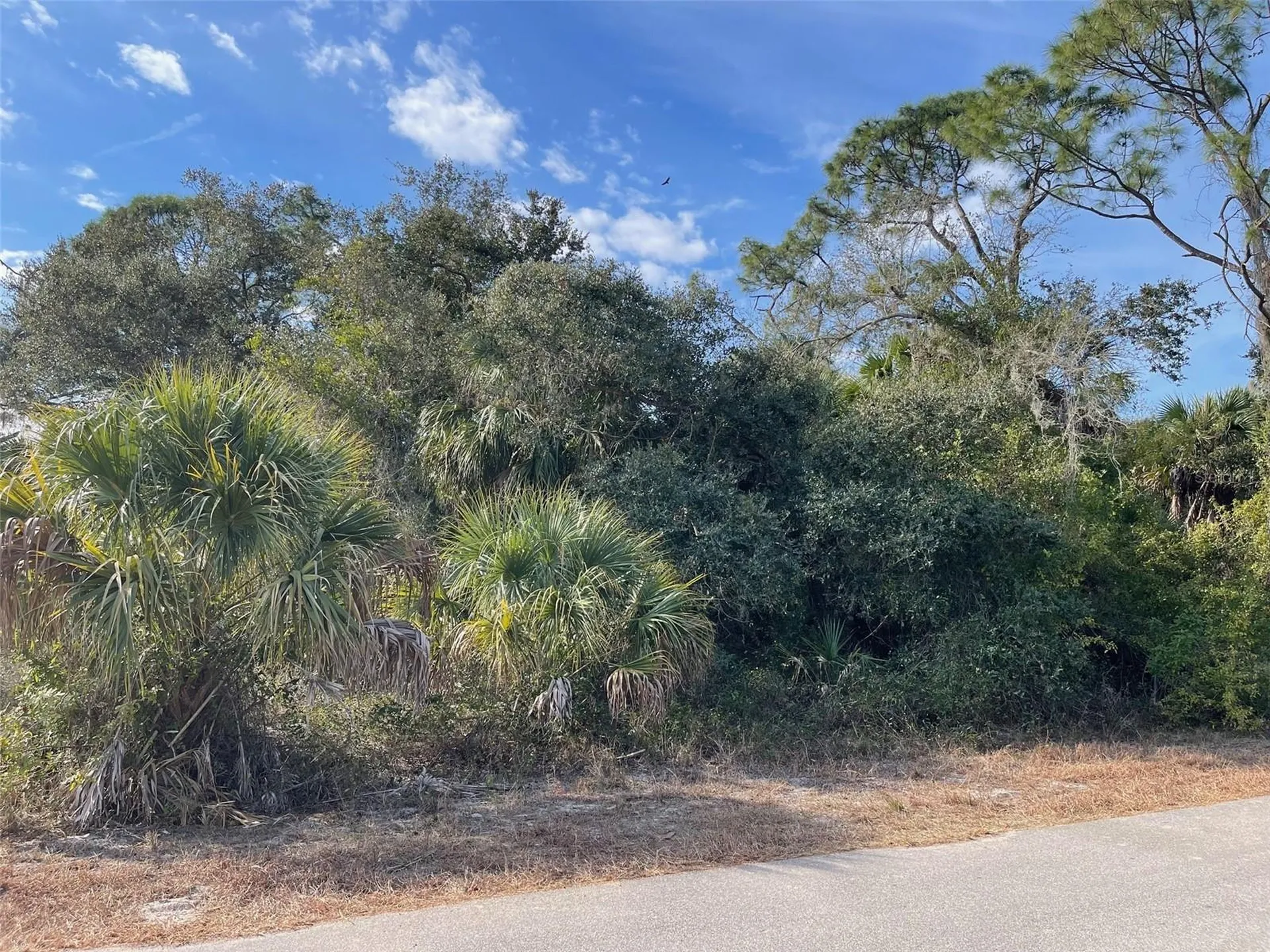 Abate Avenue North Port FL 34288