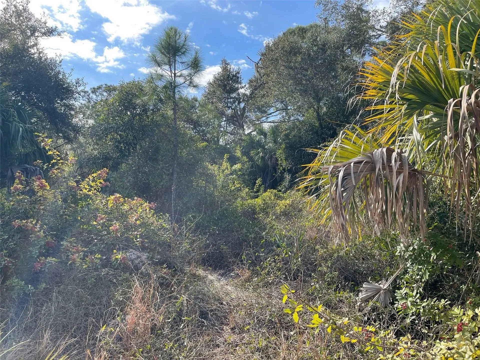 Abate Avenue North Port FL 34288