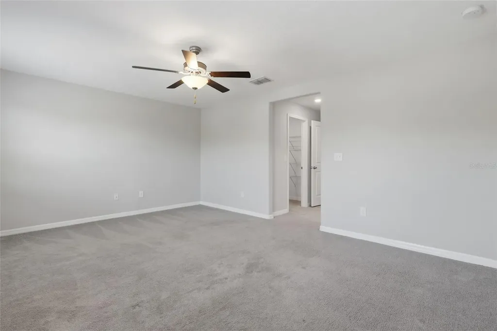4540 Globe Thistle Drive Tampa FL 33619