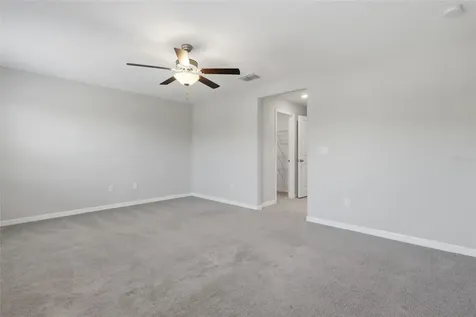 4540 Globe Thistle Drive Tampa FL 33619