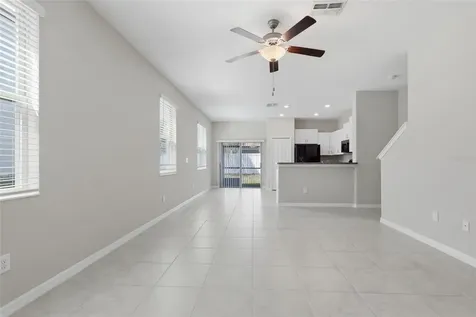 4540 Globe Thistle Drive Tampa FL 33619