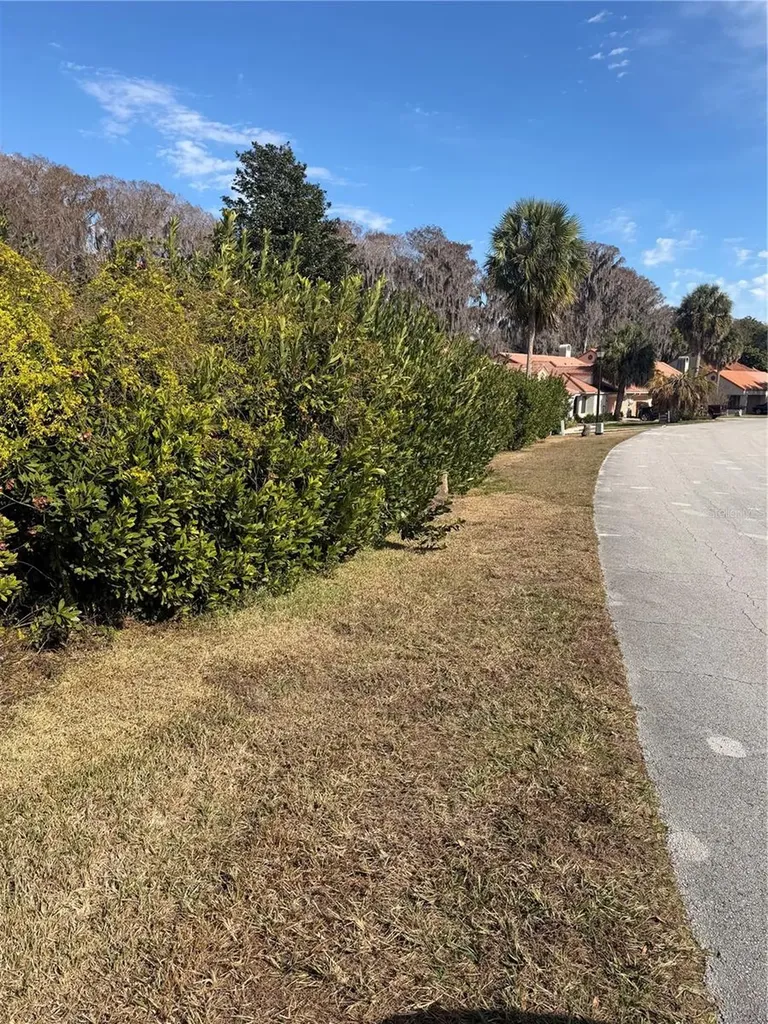 550 San Remo Circle Inverness FL 34450