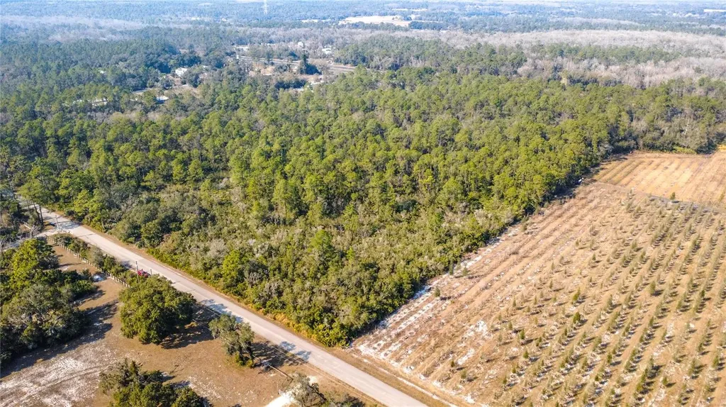 E Colonial Drive Christmas FL 32709