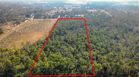 E Colonial Drive Christmas FL 32709