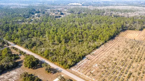 E Colonial Drive Christmas FL 32709