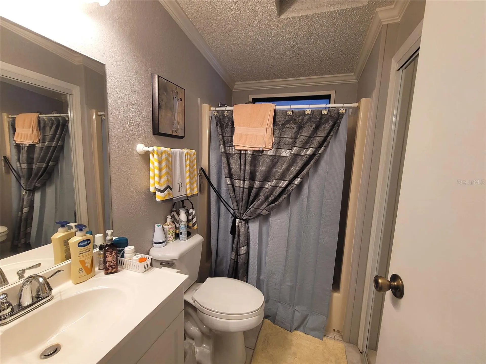 298 Townbridge Drive Haines City FL 33844