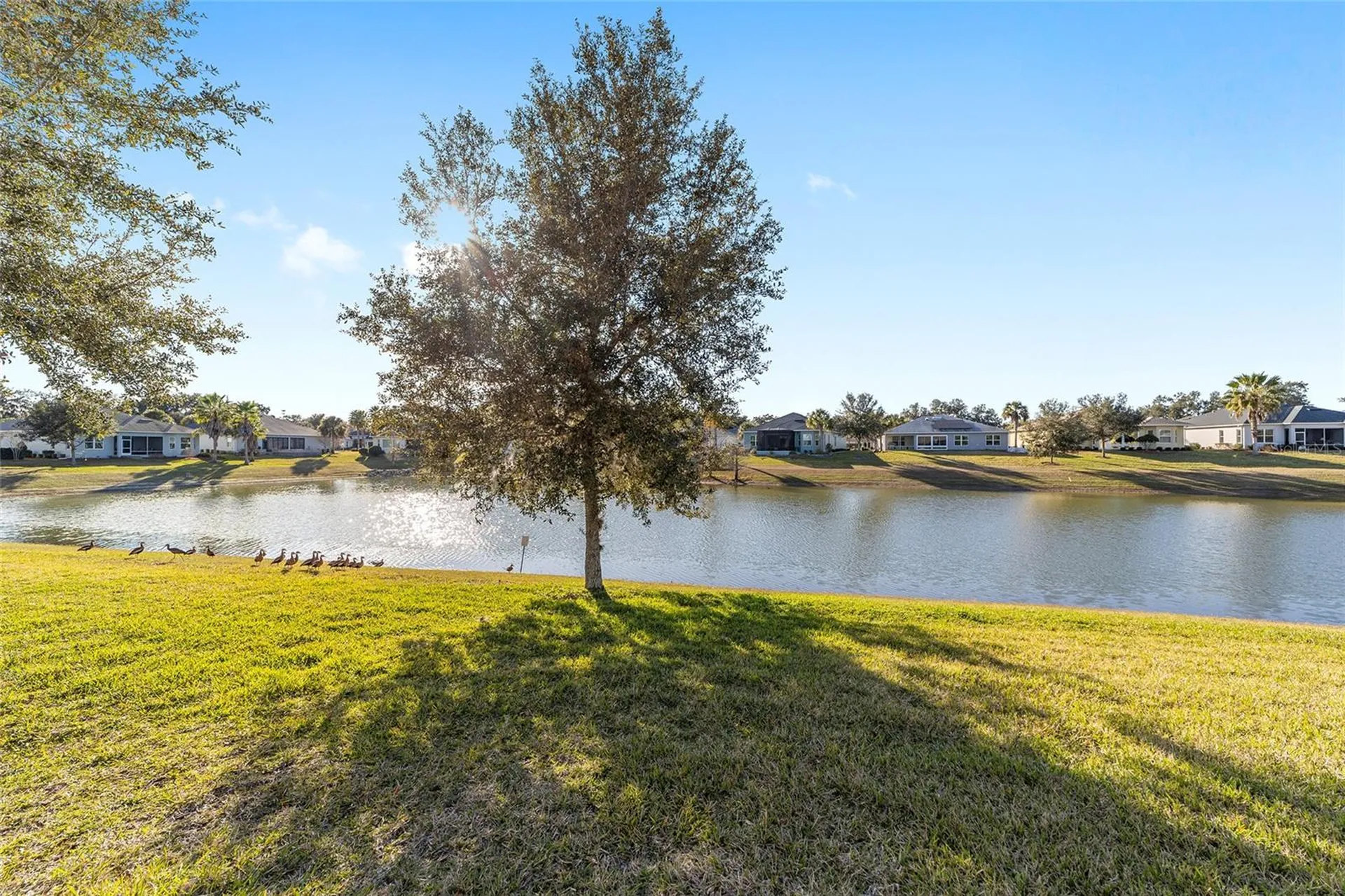 10161 Julia Isles Avenue Oxford FL 34484