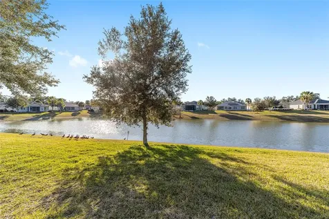 10161 Julia Isles Avenue Oxford FL 34484