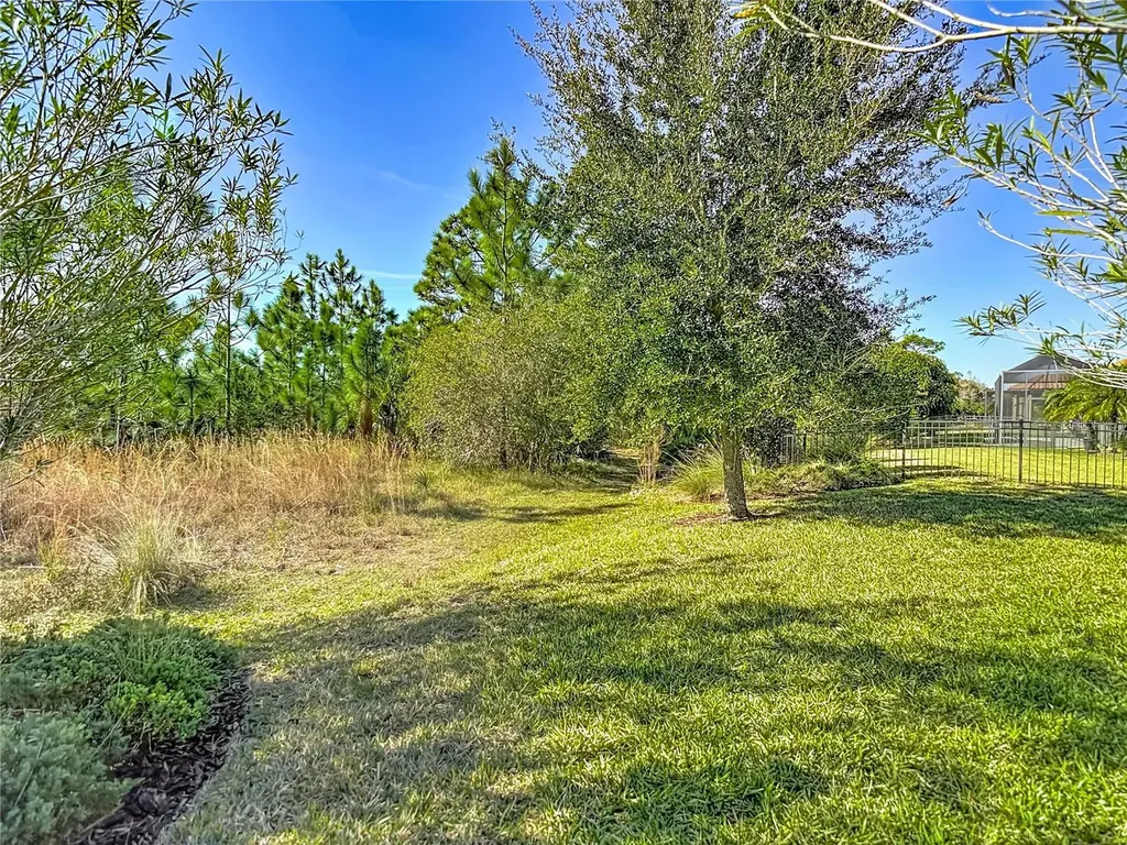 8613 Grand Alberato Road Tampa FL 33647
