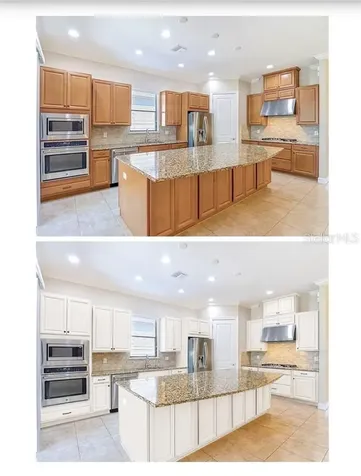 8613 Grand Alberato Road Tampa FL 33647