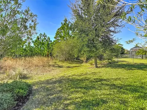 8613 Grand Alberato Road Tampa FL 33647