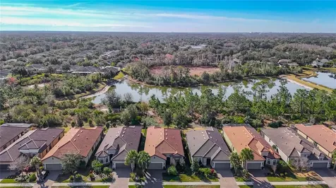 8613 Grand Alberato Road Tampa FL 33647