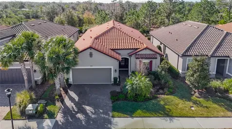 8613 Grand Alberato Road Tampa FL 33647