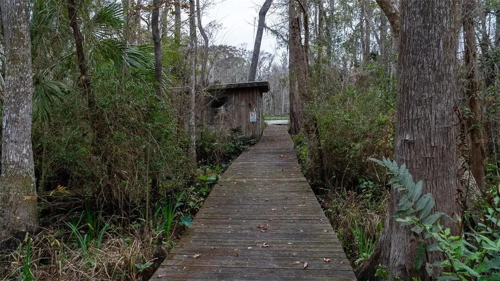155 Fran Lane Satsuma FL 32189