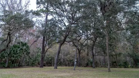 155 Fran Lane Satsuma FL 32189