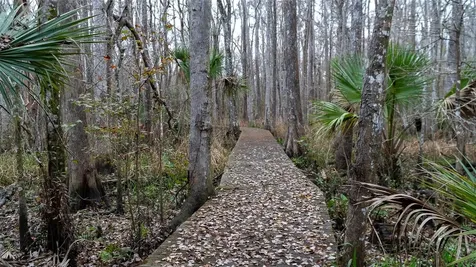 155 Fran Lane Satsuma FL 32189
