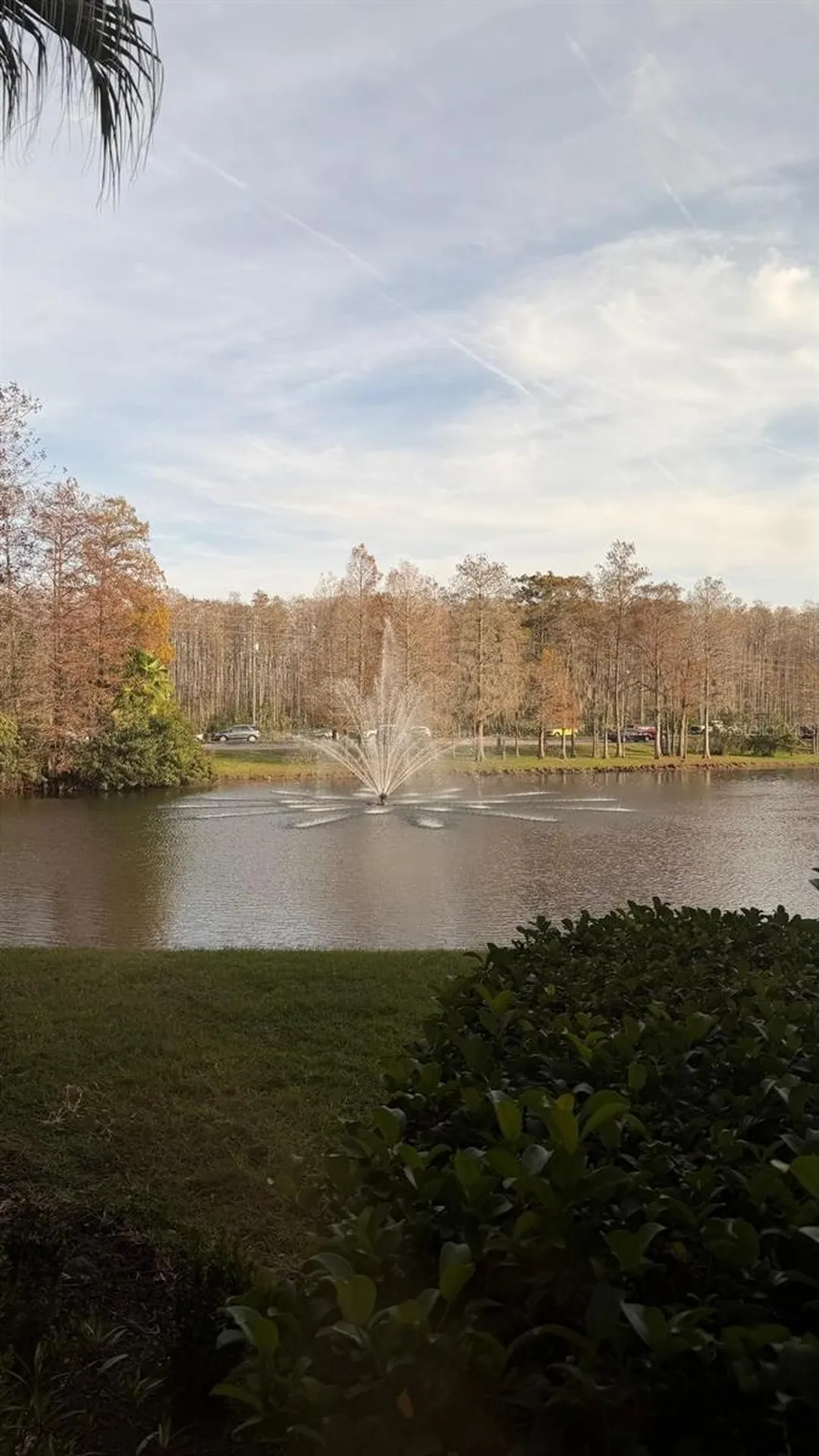 13584 Turtle Marsh Loop Orlando FL 32837