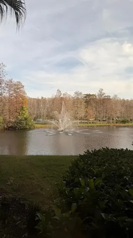 13584 Turtle Marsh Loop Orlando FL 32837