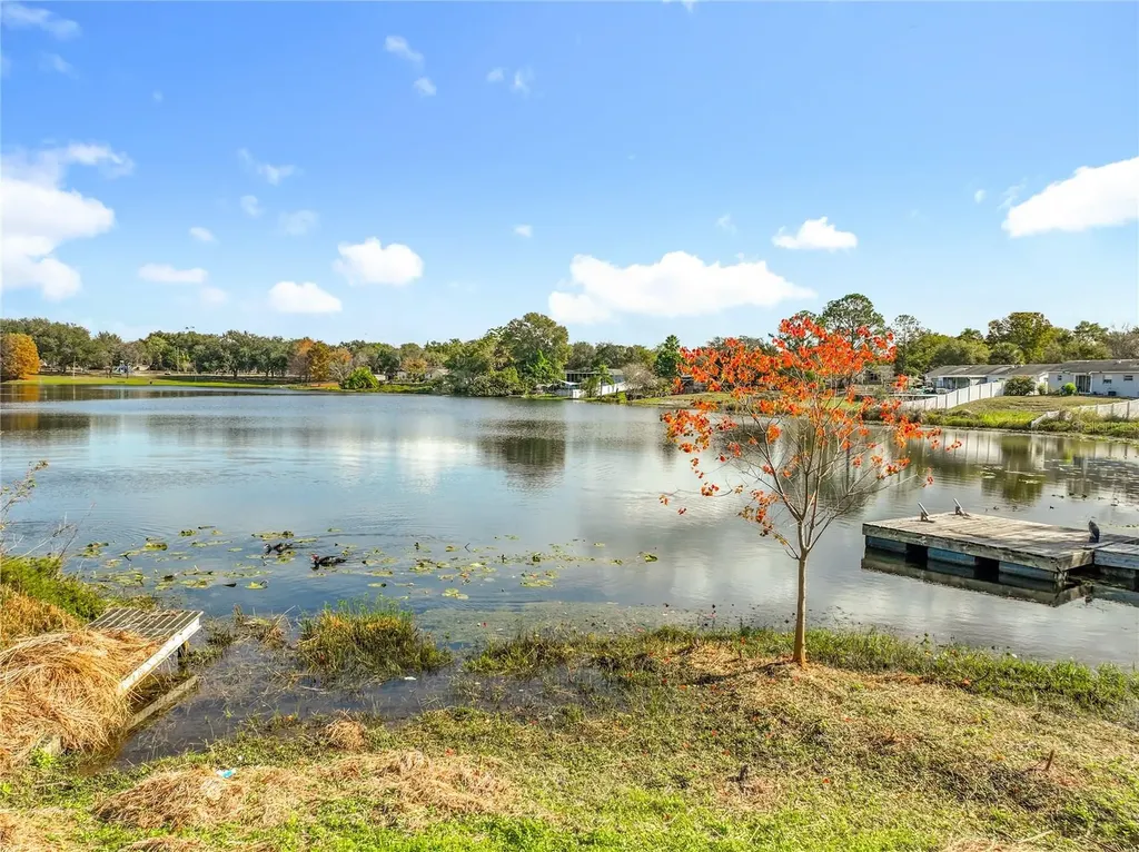 1236 Russell Drive Ocoee FL 34761