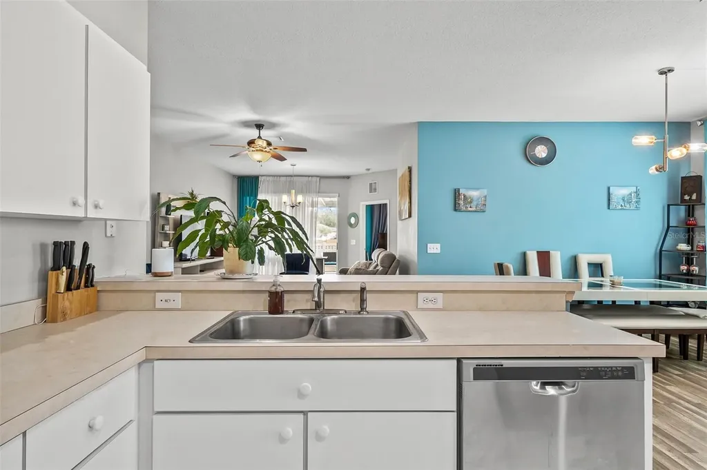 6811 Monarch Park Drive Apollo Beach FL 33572
