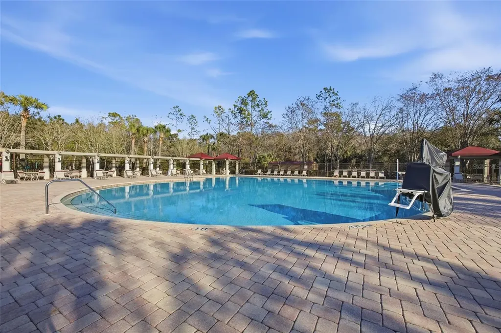 1145 Sleepy Oak Drive Wesley Chapel FL 33543