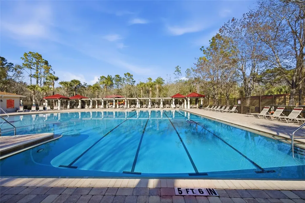 1145 Sleepy Oak Drive Wesley Chapel FL 33543