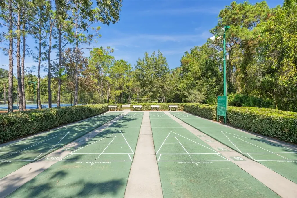 1145 Sleepy Oak Drive Wesley Chapel FL 33543