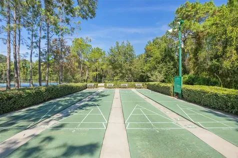 1145 Sleepy Oak Drive Wesley Chapel FL 33543