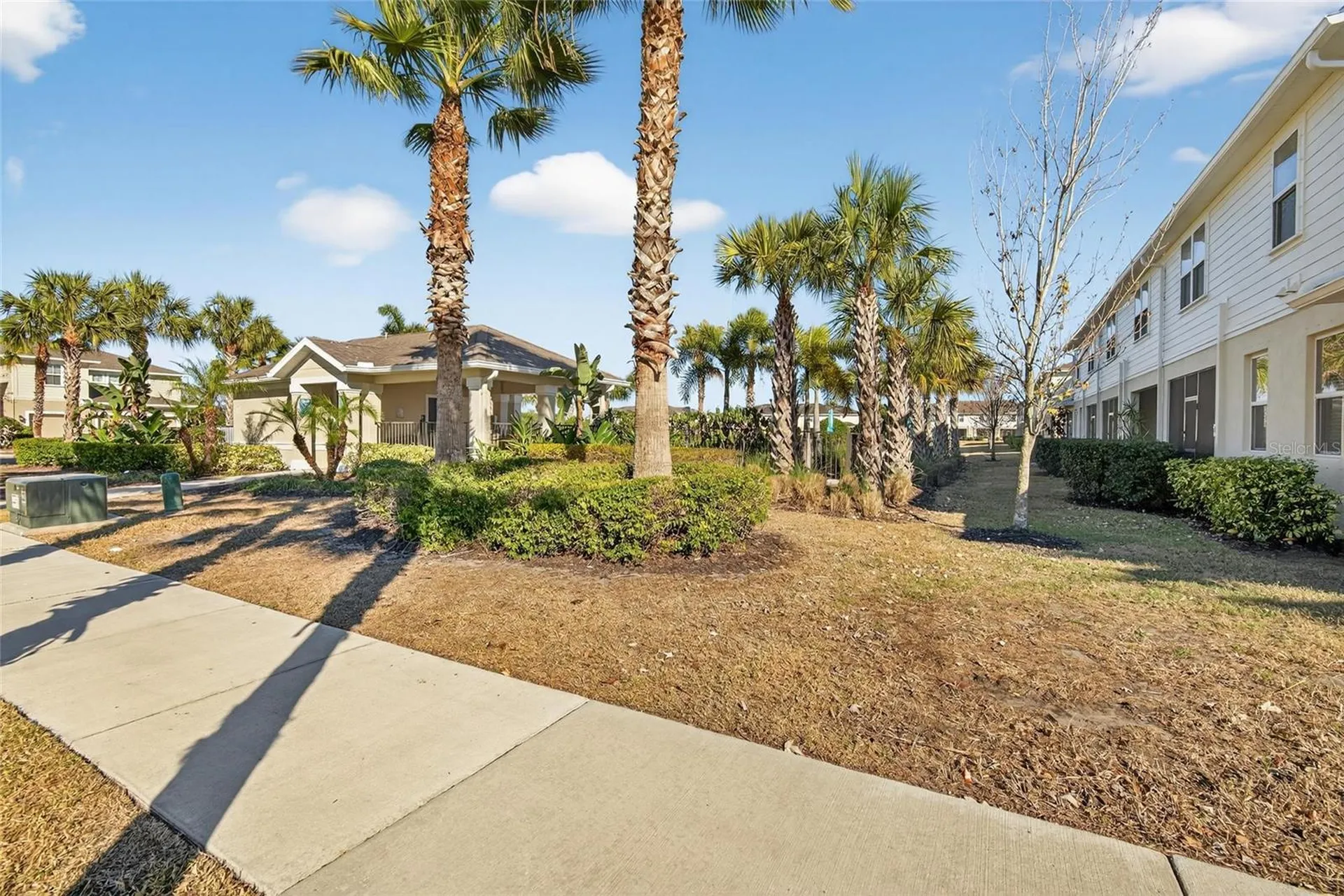 10808 Verawood Drive Riverview FL 33579