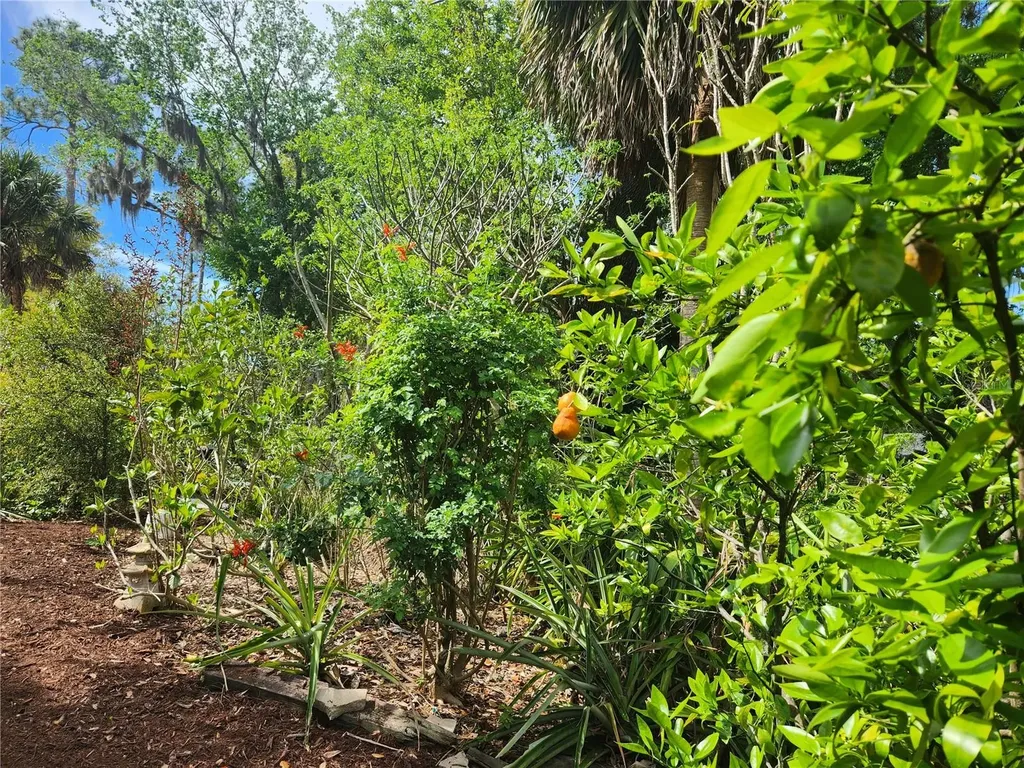 1035 Sirus Trail Sarasota FL 34232