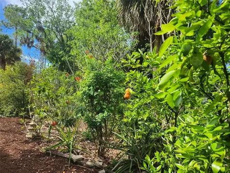 1035 Sirus Trail Sarasota FL 34232