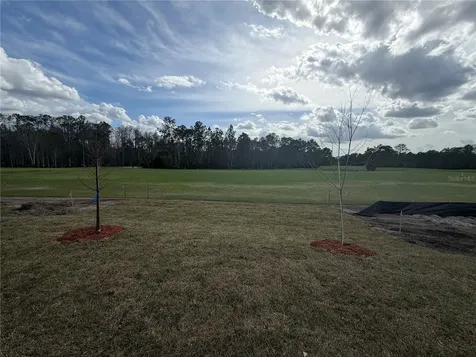 44 Mulligan Way Bunnell FL 32110