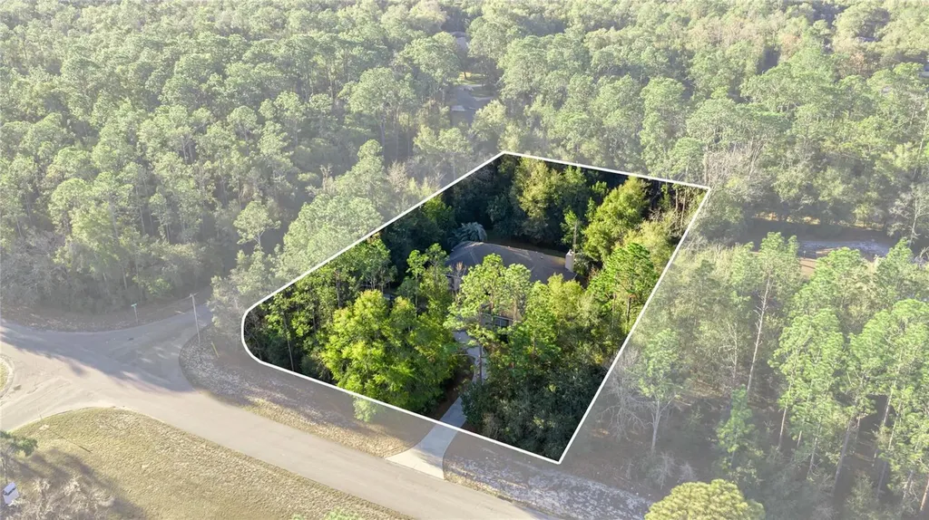 20698 SW 93rd Lane Road Dunnellon FL 34431
